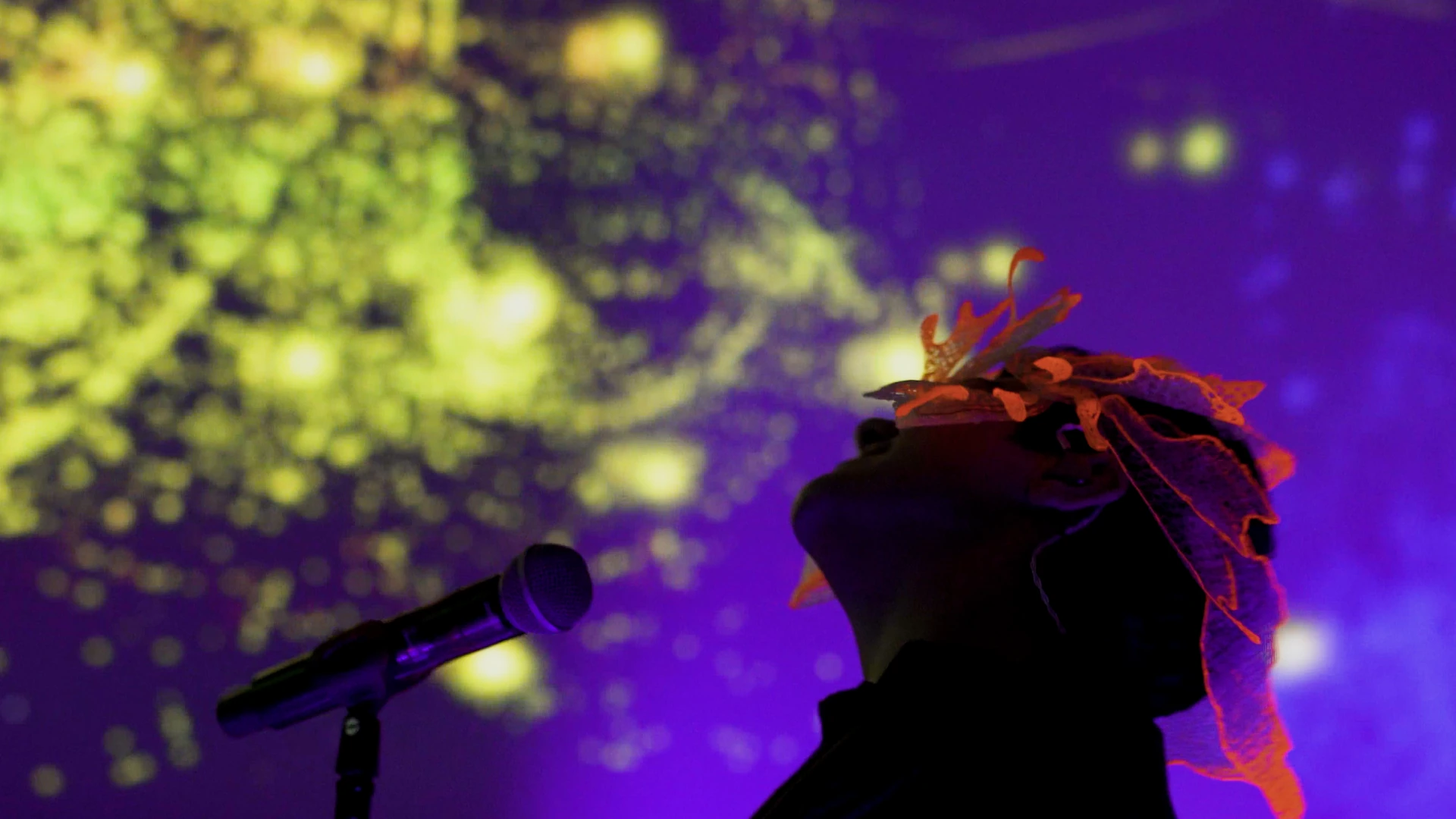 Rocio Manzur domo fondo rayas