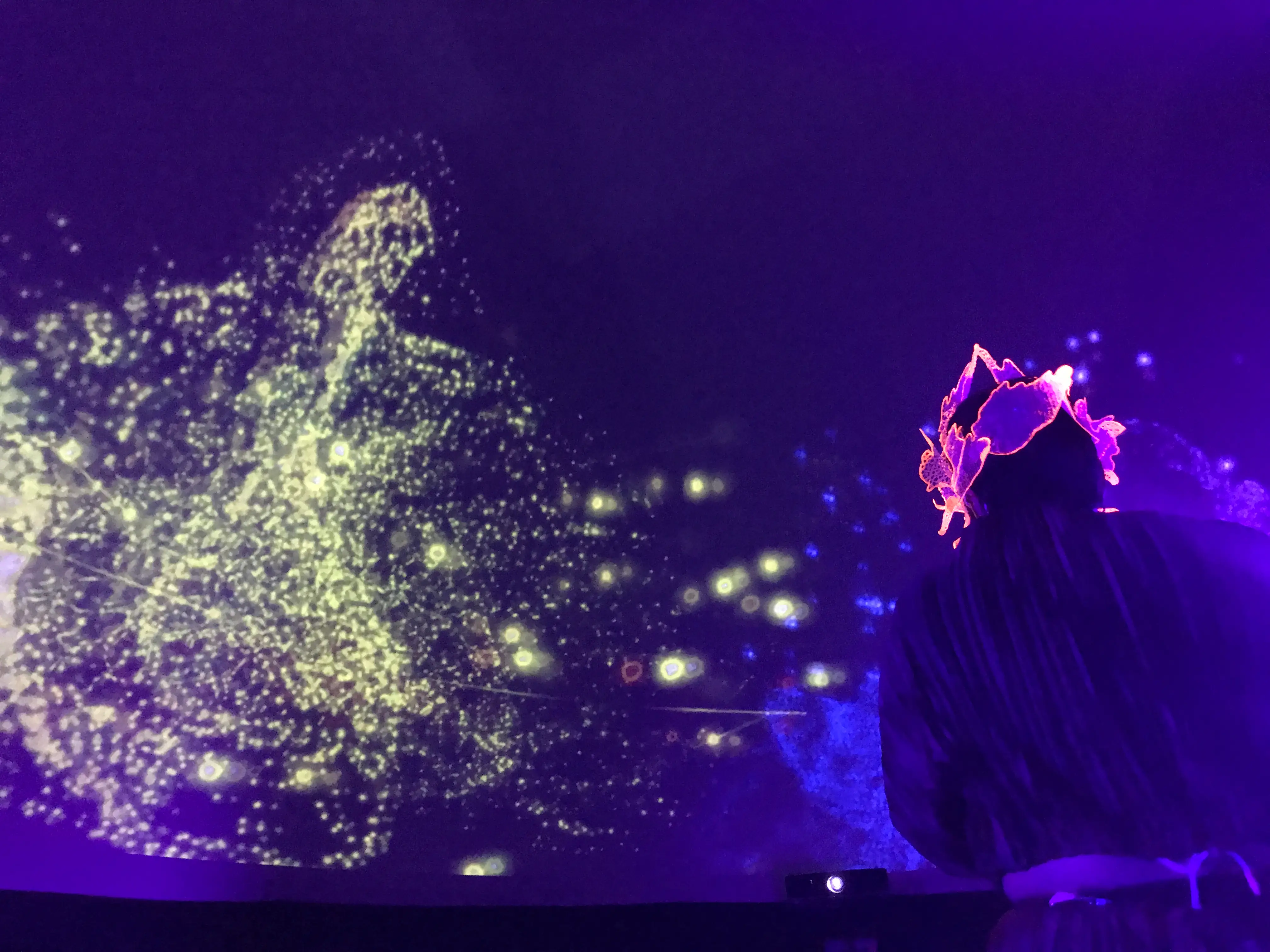 Rocio Manzur domo fondo rayas